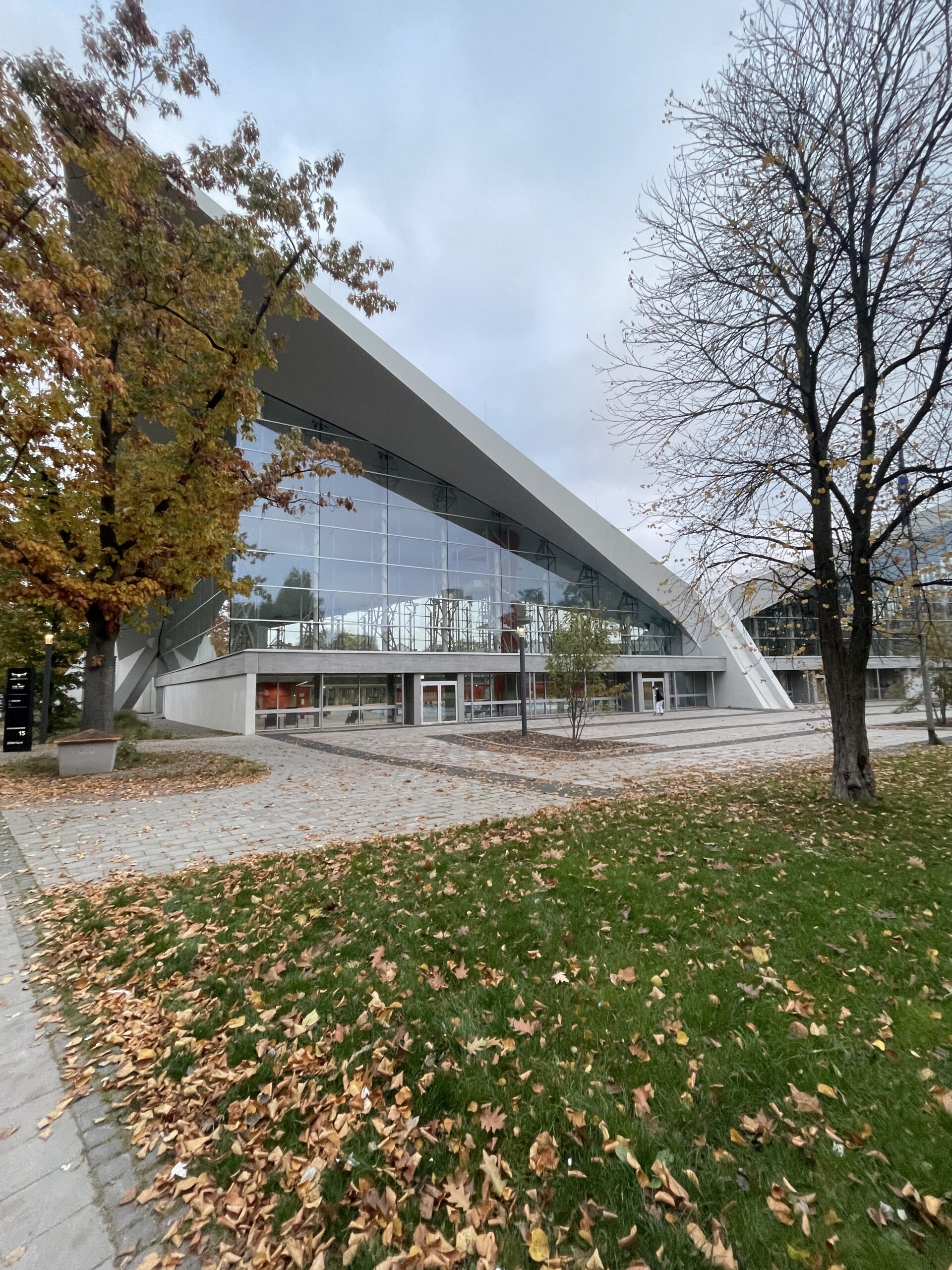 Struktur & Alltag: KW42/2025