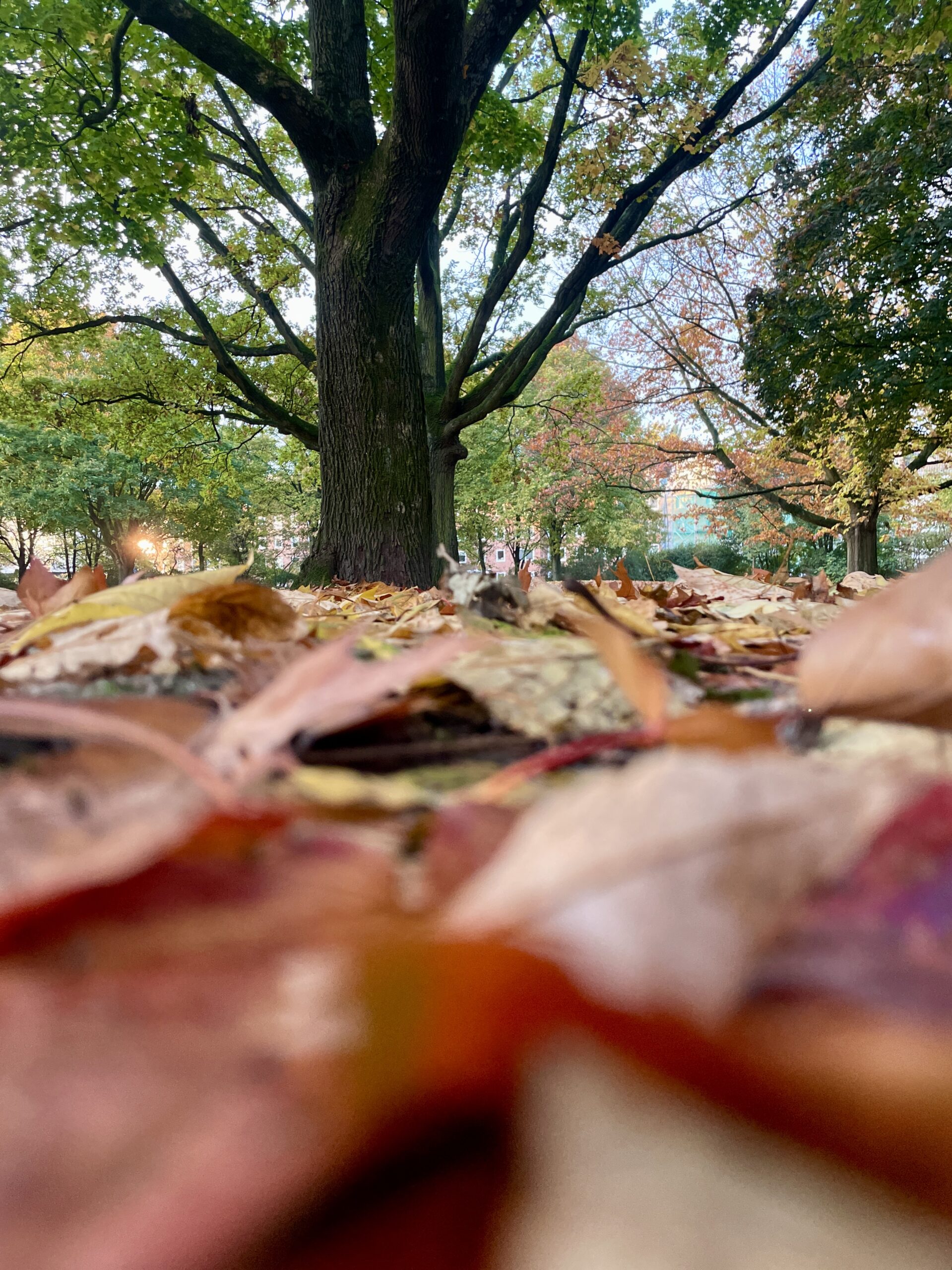 Struktur & Alltag: KW43/2025